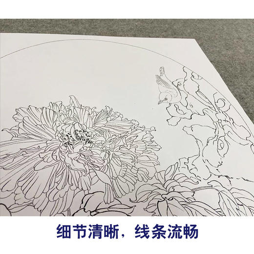 王震工笔花鸟画白描底稿牡丹翠鸟小品一套四幅册页初学者尺寸42×42厘米TA04 商品图4