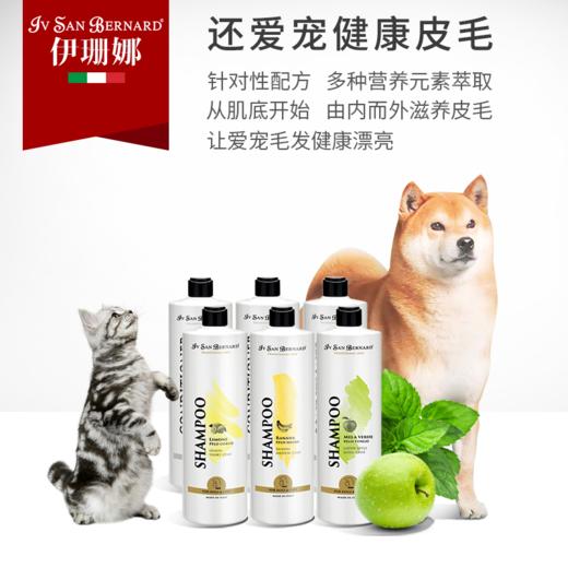 isb伊珊娜意大利进口经典宠物浴液狗狗猫咪洗澡香波护毛素沐浴 商品图0