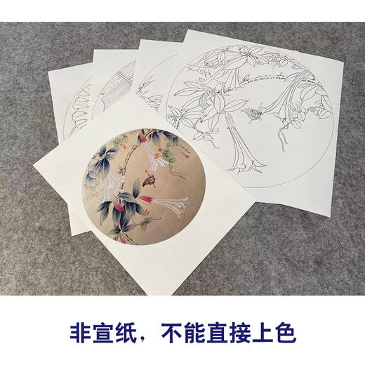 潘磊工笔画白描底稿荷花金鱼一套四幅初学者尺寸42*42厘米TL01 商品图2