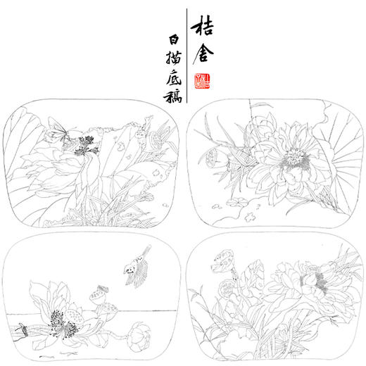 杨冬冬工笔画白描底稿荷花雀鸟一套四幅初学者尺寸35*48厘米TY06 商品图1