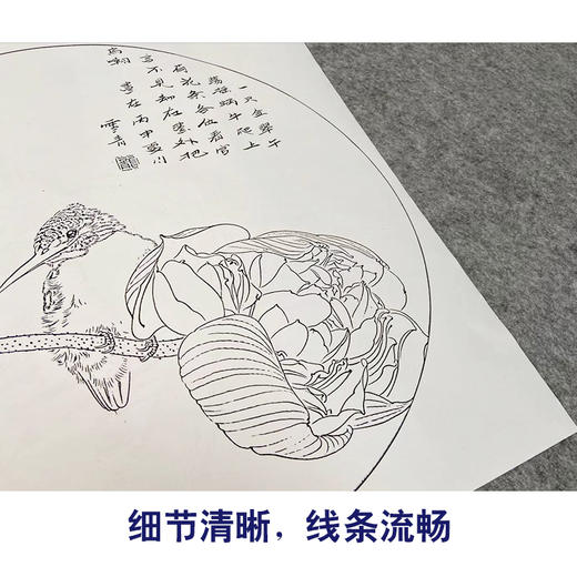 龚雪青工笔画白描底稿南瓜松鼠一套四幅初学者尺寸42*42厘米TG04 商品图4