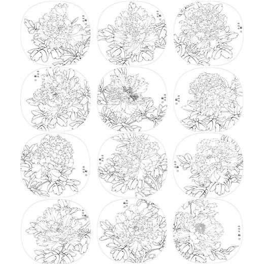 李晓明工笔花鸟画白描底稿牡丹一套十二幅册页尺寸3841厘米花鸟线稿k