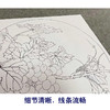 於文普工笔花鸟画白描底稿葡萄小品一套六幅册页尺寸42×42厘米花鸟线稿TA02 商品缩略图4