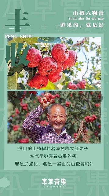 山楂六物膏 商品图5