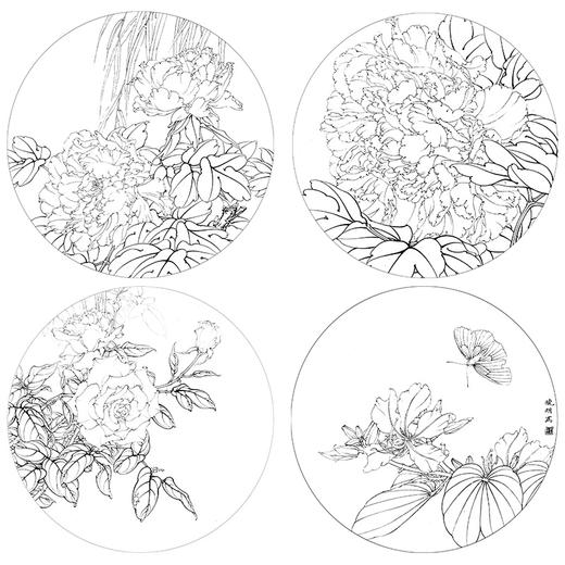 李晓明工笔花鸟画白描底稿牡丹蝴蝶一套四幅册页初学者尺寸40×40厘米TW02 商品图1