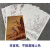 郎世宁工笔动物画白描底稿斑锦彪雪爪庐小品一套十幅册页尺寸40*60厘米GG01 商品缩略图3