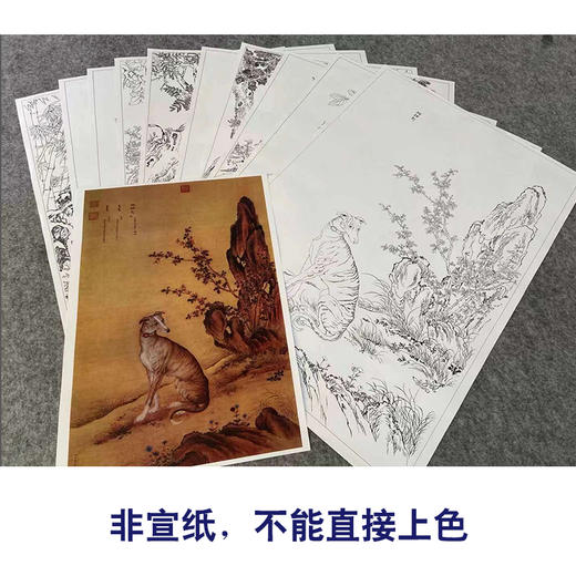 郎世宁工笔动物画白描底稿斑锦彪雪爪庐小品一套十幅册页尺寸40*60厘米GG01 商品图3