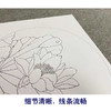 戴青池工笔画白描底稿荷花牡丹一套四幅初学者尺寸35×35厘米TD01 商品缩略图4