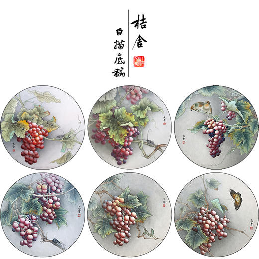 於文普工笔花鸟画白描底稿葡萄小品一套六幅册页尺寸42×42厘米花鸟线稿TA02 商品图0