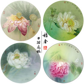 杨冬冬工笔画白描底稿荷花一套四幅初学者原大尺寸35×35厘米TY02