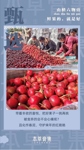 【膏方节】山楂六物膏