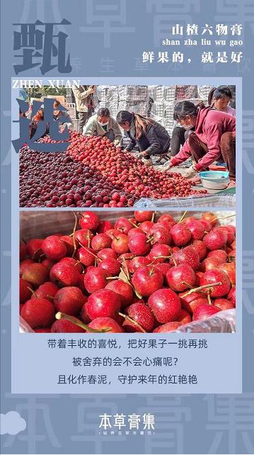 山楂六物膏 商品图0