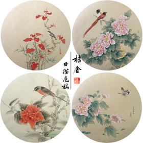 潘磊工笔画白描底稿牡丹蝴蝶一套四幅初学者尺寸42*42厘米TL04