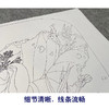 杨冬冬工笔画白描底稿荷花雀鸟一套四幅初学者尺寸35*48厘米TY06 商品缩略图4