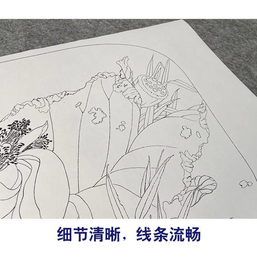 杨冬冬工笔画白描底稿荷花雀鸟一套四幅初学者尺寸35*48厘米TY06 商品图4