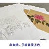 蒋廷锡工笔花鸟画白描底稿牡丹谱小品一套十幅册页初学者尺寸40*40厘米JT00 商品缩略图3