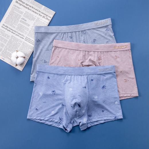 无积分赠品【特价】男内裤13605/3608/83254/13627/23627/33627/13638/23638/73638 商品图4