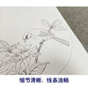 戴青池工笔画白描底稿荷花翠鸟一套四幅初学者尺寸35*35厘米TD05 商品缩略图4