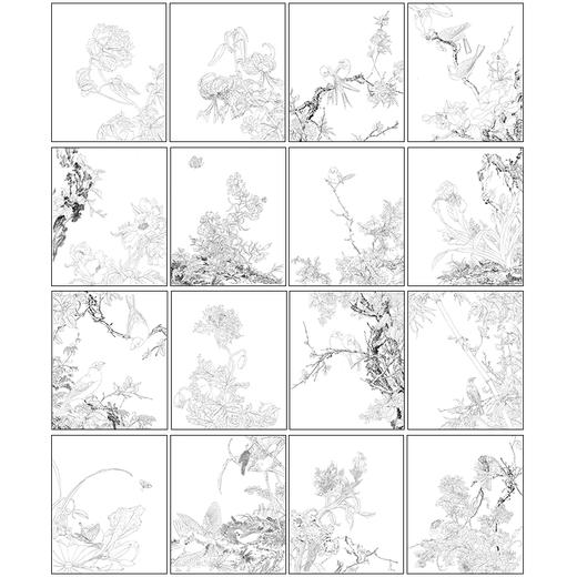 郎世宁工笔花鸟小品画白描底稿仙萼长春册一套十六幅册页尺寸35×42厘米LT00 商品图2