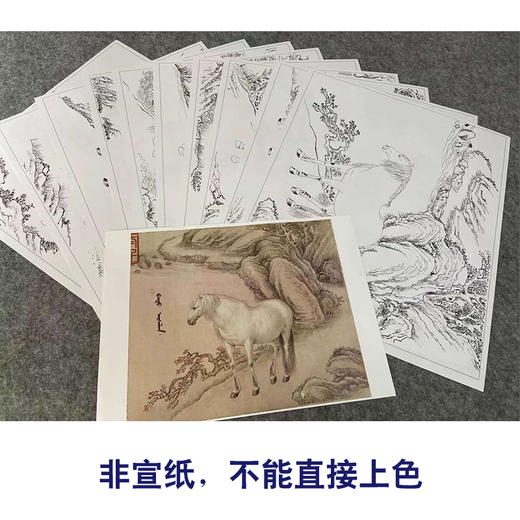 王致诚工笔动物画白描底稿十骏图小品一套十幅册页初学者尺寸42*50厘米ZC00 商品图3