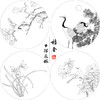 戴青池工笔画白描底稿松龄鹤一套四幅初学者尺寸35×35厘米TD02 商品缩略图1
