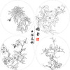 潘磊工笔画白描底稿牡丹蝴蝶一套四幅初学者尺寸42*42厘米TL04 商品缩略图1