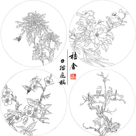潘磊工笔画白描底稿牡丹蝴蝶一套四幅初学者尺寸42*42厘米TL04 商品图1