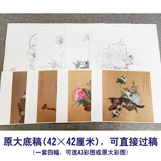 王震工笔花鸟画白描底稿桃花牡丹小品一套四幅册页原大42×42厘米花鸟线稿TA03 商品图2