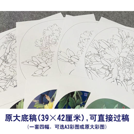 李晓明工笔花鸟画白描底稿牡丹小品团扇一套四幅册页初学者尺寸39*42厘米TW06 商品图1