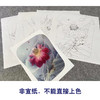杨冬冬工笔画白描底稿荷花蜻蜓一套四幅初学者尺寸35*45厘米TY07 商品缩略图3