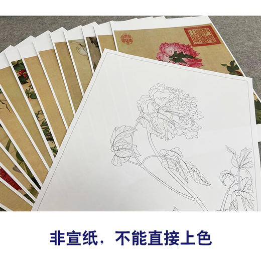 郎世宁工笔花鸟小品画白描底稿仙萼长春册一套十六幅册页尺寸35×42厘米LT00 商品图4