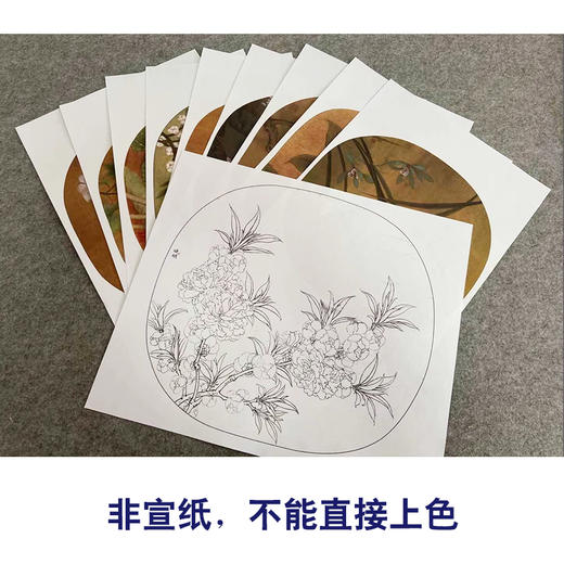 李晓明工笔花鸟画白描底稿蝴蝶荷花小品一套九幅册页初学者尺寸35×38厘米TW07 商品图3