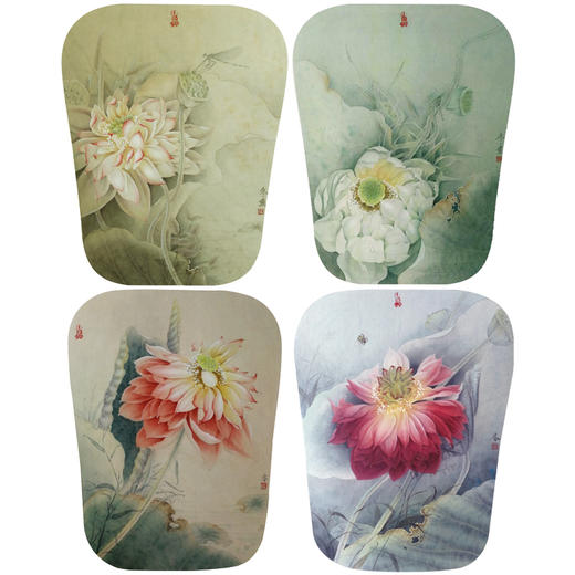 杨冬冬工笔画白描底稿荷花蜻蜓一套四幅初学者尺寸35*45厘米TY07 商品图0