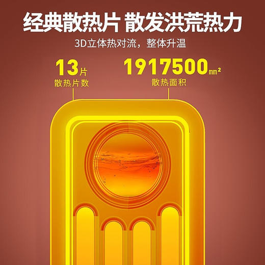 先锋(SingFun)家用取暖器电暖器电暖气节能低噪安全全屋速热加湿干衣 13片DYT-Z2 商品图9