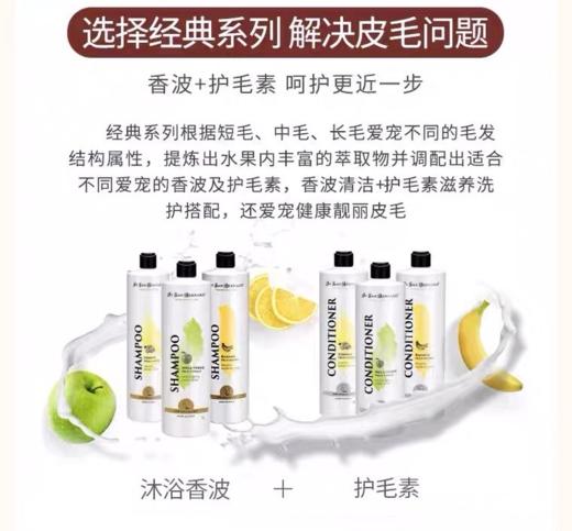 isb伊珊娜意大利进口经典宠物浴液狗狗猫咪洗澡香波护毛素沐浴 商品图1