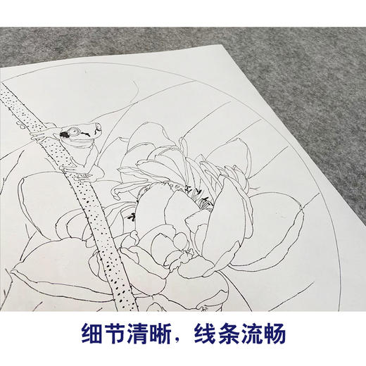 龚雪青工笔画白描底稿葡萄荷花一套四幅初学者尺寸42*42厘米TG02 商品图4