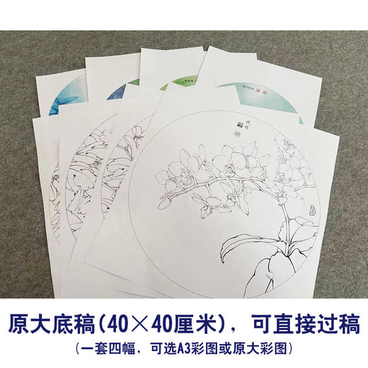李晓明工笔花鸟画白描底稿牡丹蝴蝶一套四幅册页初学者尺寸40×40厘米TW03 商品图2