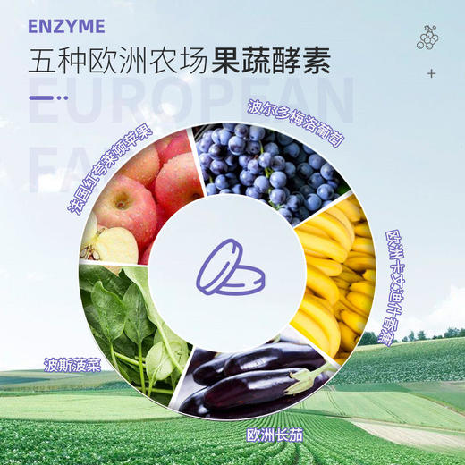 【德国大餐救星！让你嗨吃不发胖】德国NA白芸豆酵素吸油片珍贵海生白芸豆专利提取阻断碳水油脂吸收五大欧洲果蔬酵素加速代谢 商品图4