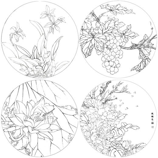 李晓明工笔花鸟画白描底稿葡萄牡丹小品一套四幅册页初学者尺寸42×42厘米TW01 商品图1