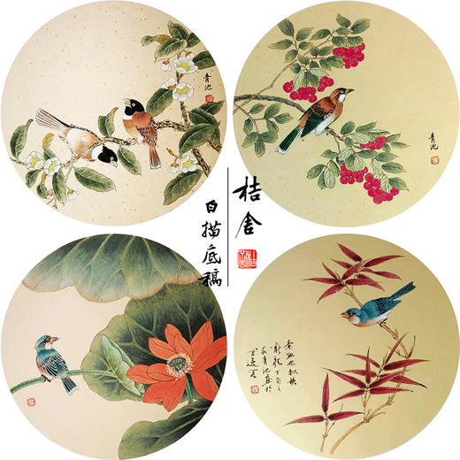 戴青池工笔画白描底稿樱桃翠鸟一套四幅初学者尺寸35*35厘米TD04 商品图0