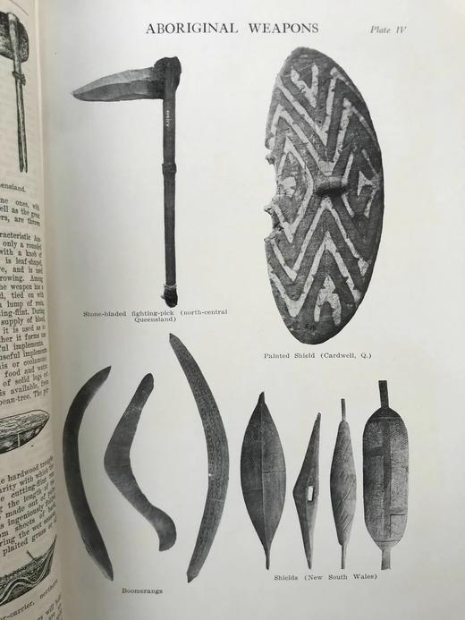 1925年 澳大利亚图解百科全书（全2卷） 数百幅插图 漆布精装16开 商品图11