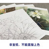 李晓明工笔花鸟画白描底稿荷花一套六幅册页尺寸35×40厘米花鸟线稿KF26 商品缩略图3