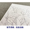李晓明工笔花鸟画白描底稿荷花一套六幅册页尺寸35×40厘米花鸟线稿KF26 商品缩略图4