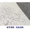 李晓明工笔花鸟画白描底稿牡丹小品团扇一套四幅册页初学者尺寸39*42厘米TW06 商品缩略图3