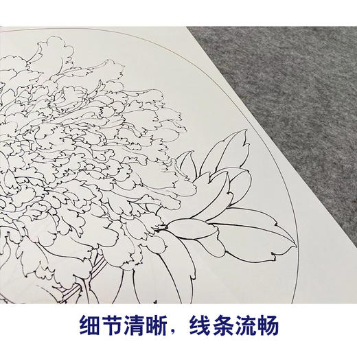 李晓明工笔花鸟画白描底稿牡丹小品团扇一套四幅册页初学者尺寸39*42厘米TW06 商品图3