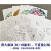 李晓明工笔花鸟画白描底稿牡丹蝴蝶一套四幅册页初学者尺寸40×40厘米TW02 商品缩略图2