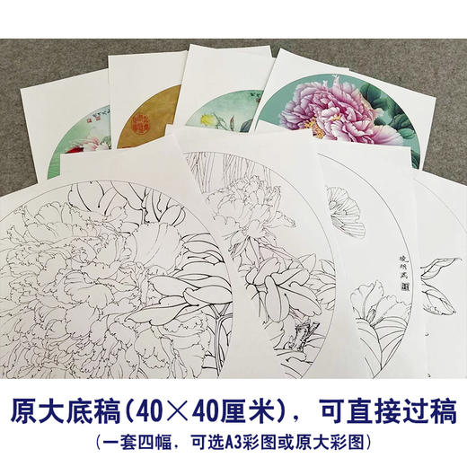 李晓明工笔花鸟画白描底稿牡丹蝴蝶一套四幅册页初学者尺寸40×40厘米TW02 商品图2