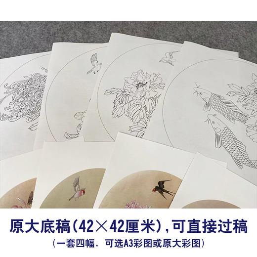 潘磊工笔画白描底稿鲤鱼牡丹一套四幅初学者尺寸42*42厘米TL02 商品图2