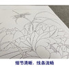 余稚工笔画白描底稿花鸟小品一套十二幅册页初学者尺寸33×37厘米YT00 商品缩略图4