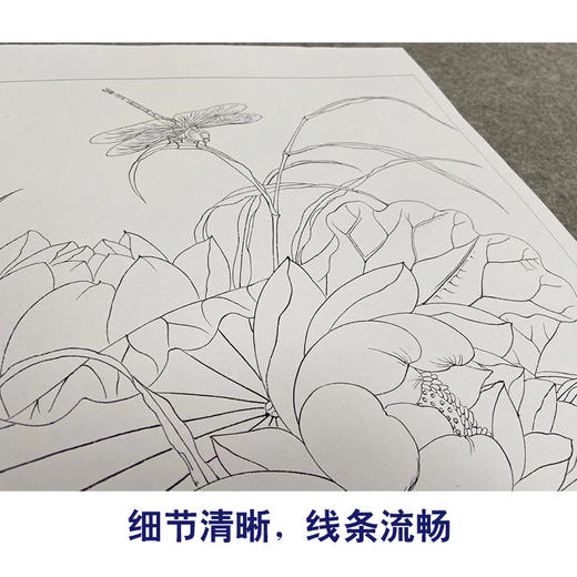 余稚工笔画白描底稿花鸟小品一套十二幅册页初学者尺寸33×37厘米YT00 商品图4